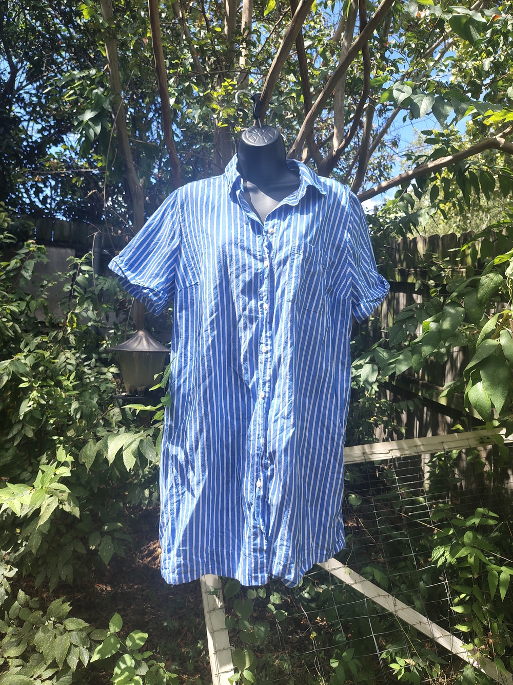 Blue Striped Cotton Button-Up Shirtdress